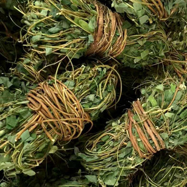 鸡骨草【包邮】各种规格有货可批量可零售量大从优