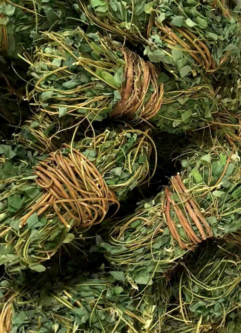 鸡骨草【包邮】各种规格有货可批量可零售量大从优
