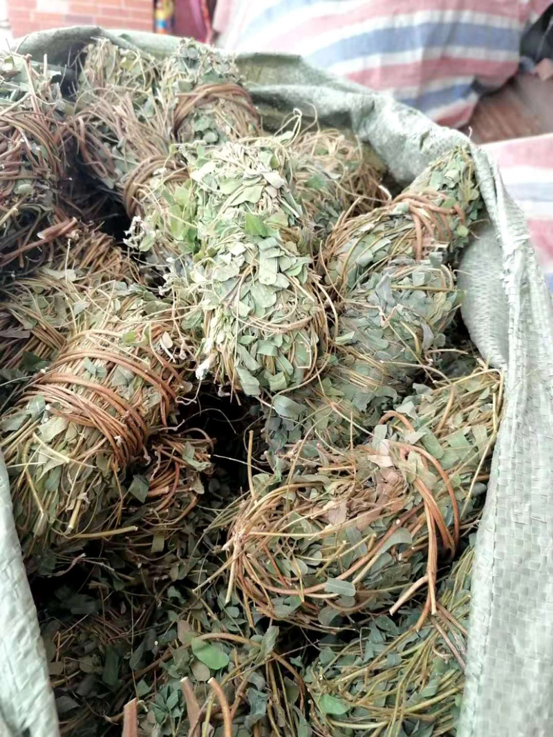 鸡骨草【包邮】各种规格有货可批量可零售量大从优