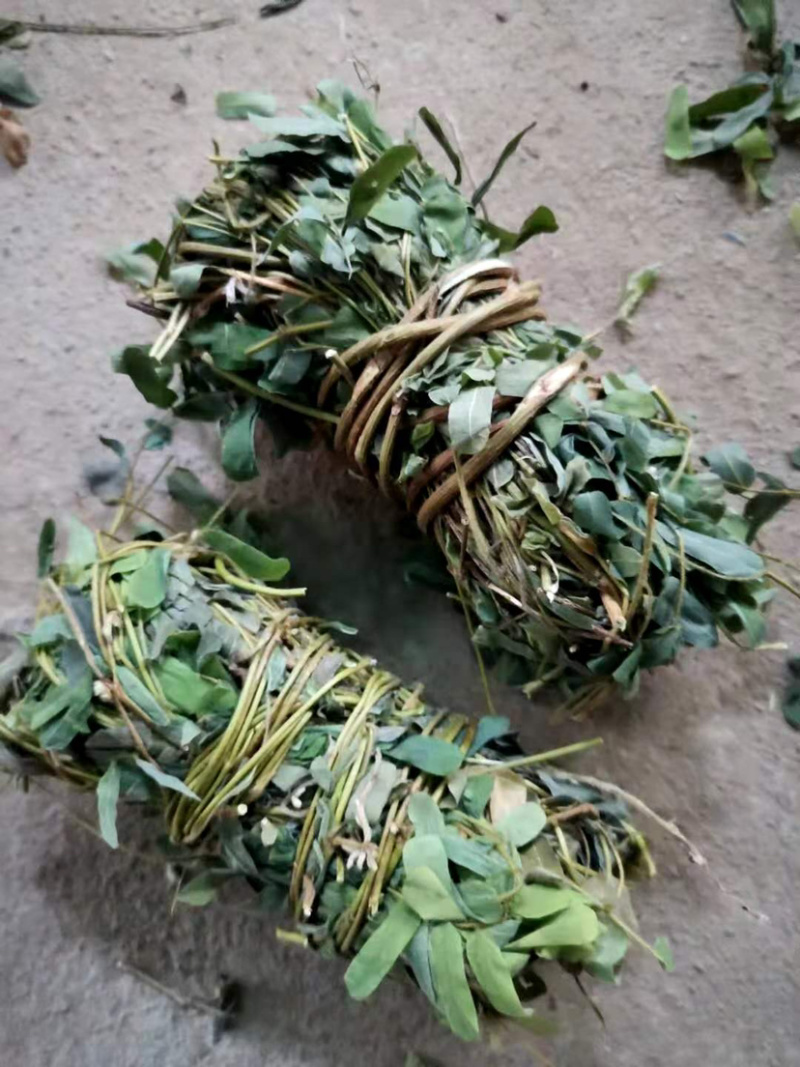 鸡骨草【包邮】各种规格有货可批量可零售量大从优