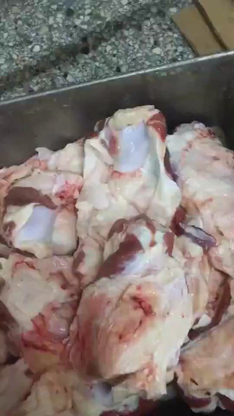 牛窝骨，网红牛窝骨，厂家直销，价格便宜。