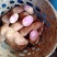 热卖土豆剑川七彩土豆产地直发生态种植品质保证