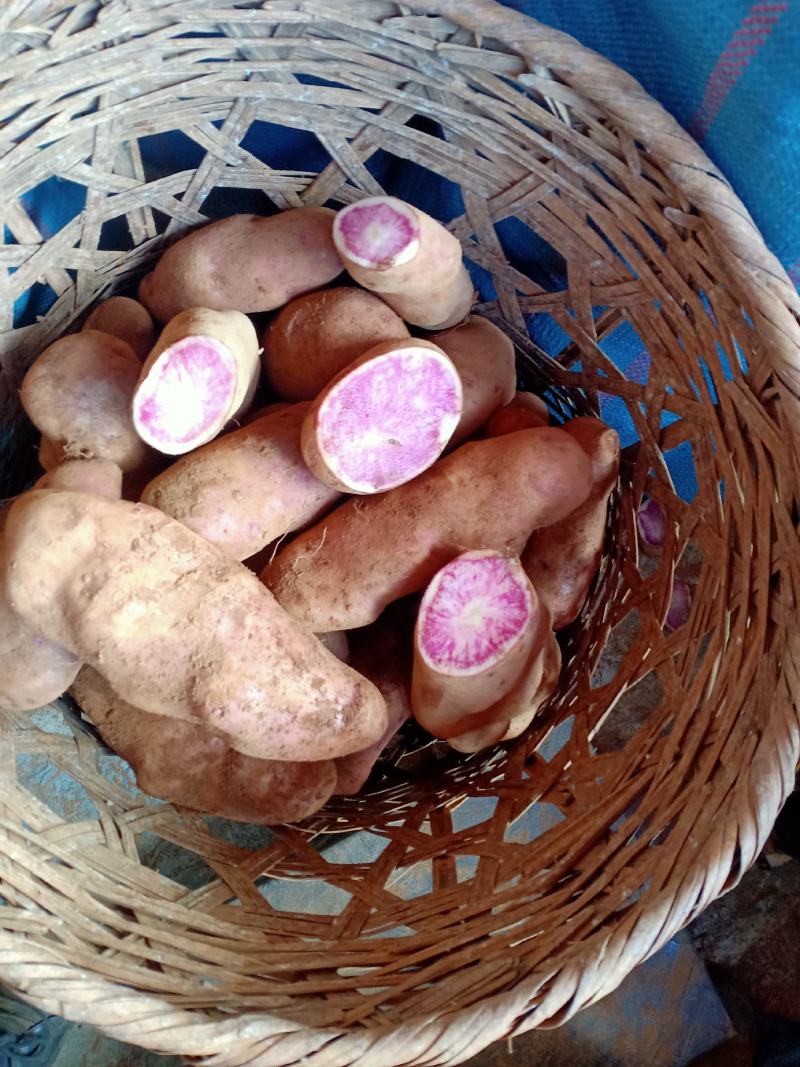 热卖土豆剑川七彩土豆产地直发生态种植品质保证