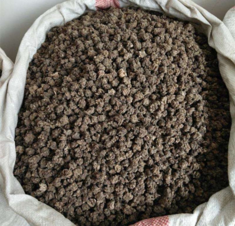 振兴药材批发猫爪草大货量大从优资质齐全