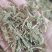 伸筋草舒筋草狮尾草泡茶泡脚各种草药中药材