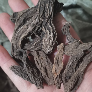 红大戟红大戟各种中药材批发