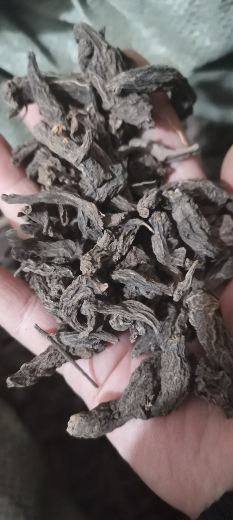 红大戟红大戟各种中药材批发