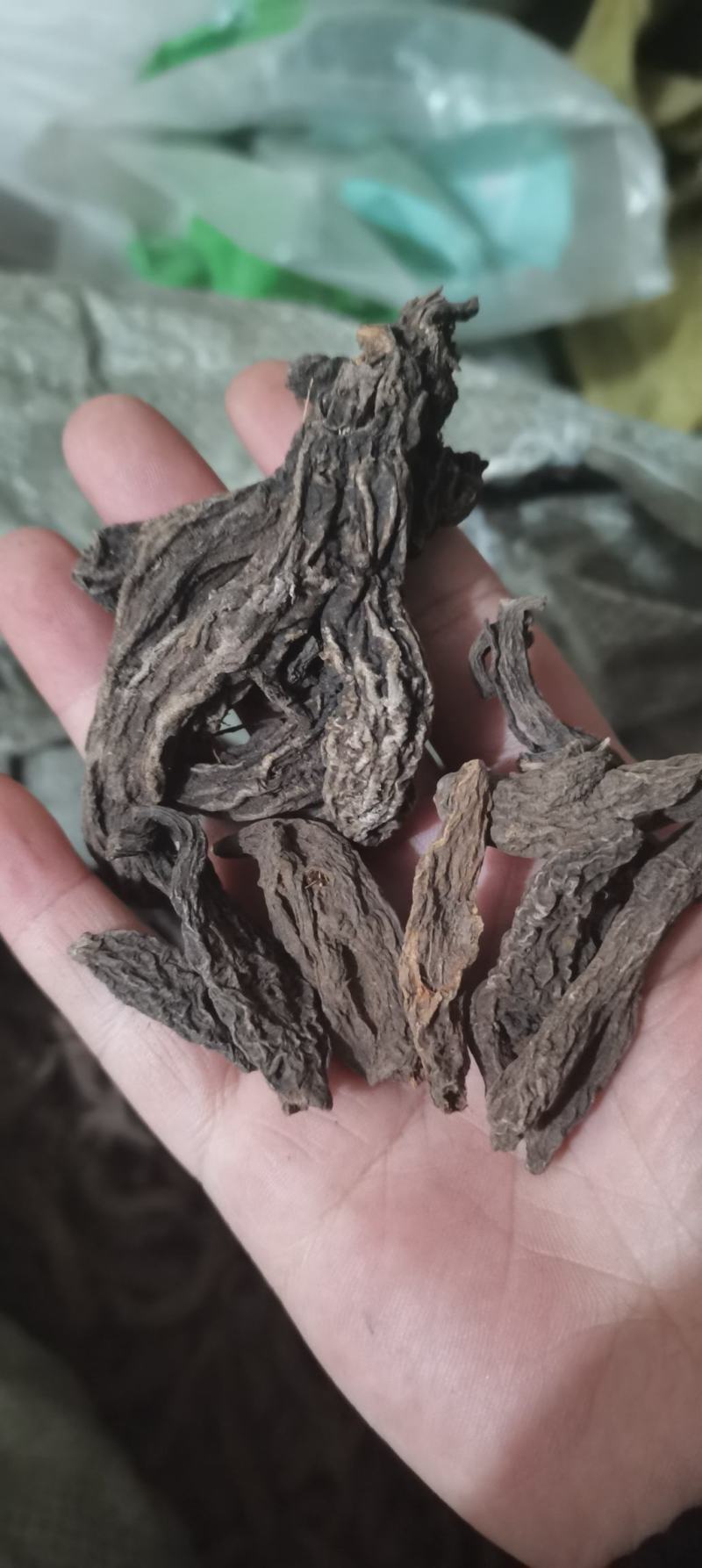 红大戟红大戟各种中药材批发