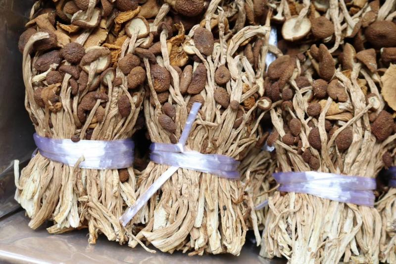 广州人江西茶树菇3号菇适合煲汤支持一件代发批发价