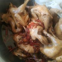 浚县传统卤味：新品《麻椒鸡》
