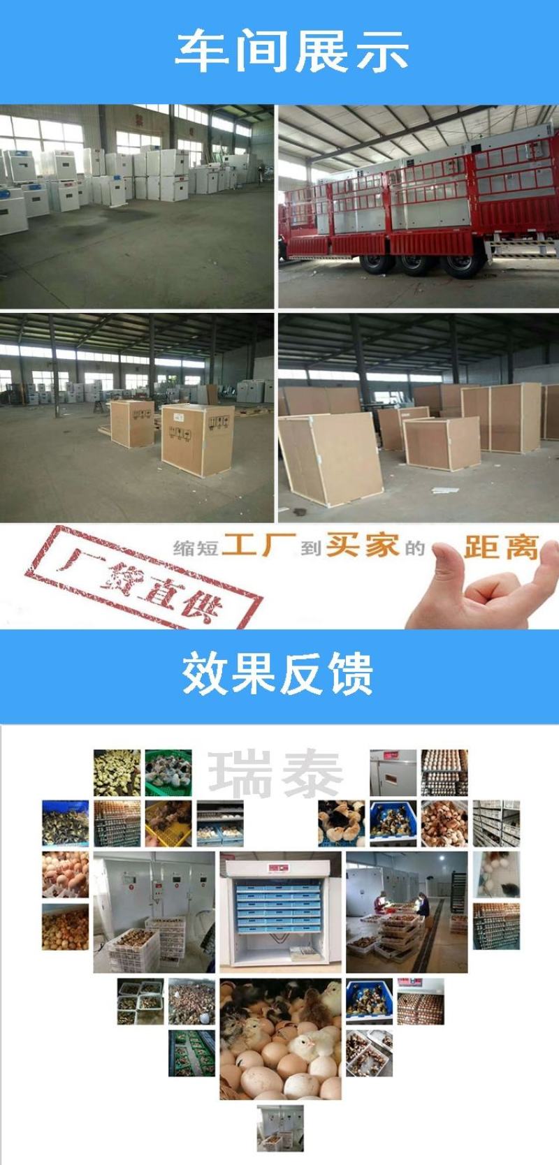 孵化设备528枚小型孵化机全自动孵化箱育雏保温箱