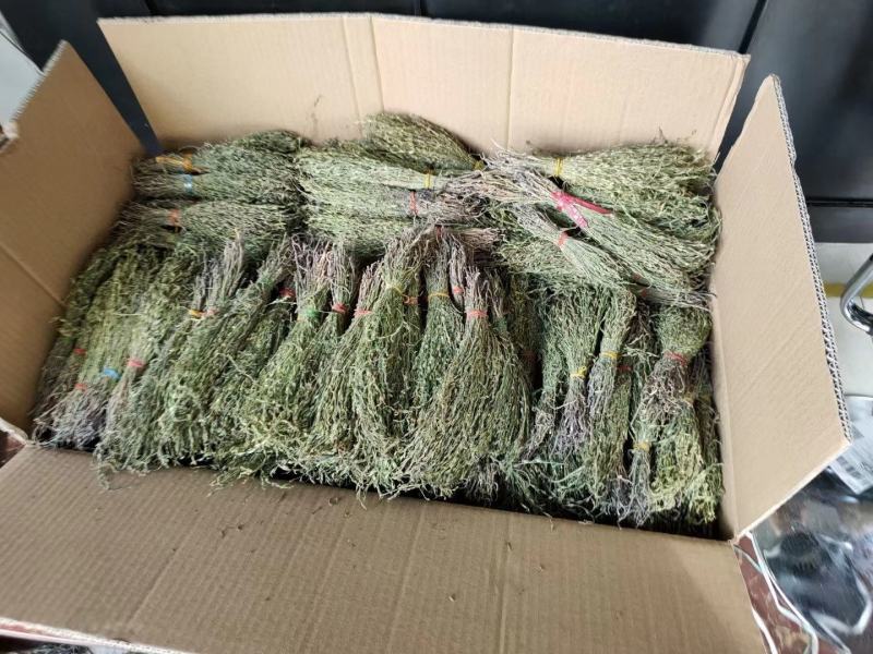 独脚金有货，20到25公分，颜色漂亮有好货