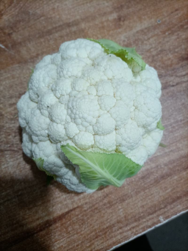 陕西精品菜花便宜了，基地直供！！！！！！！！！！！！！！