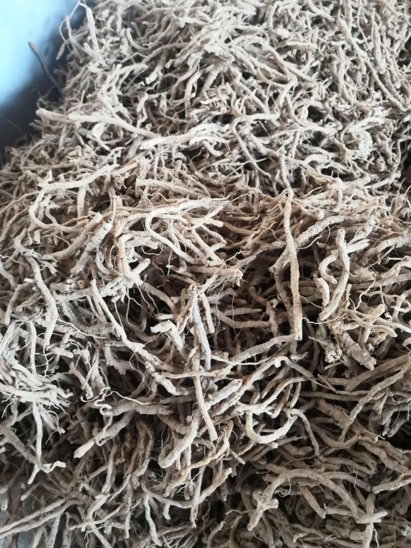 出售山西远志筒，远志条自家种植的远志不包邮