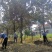 ：绿化苗圃基地直销现挖现卖，诚信为本，至尊为上，欢迎新老