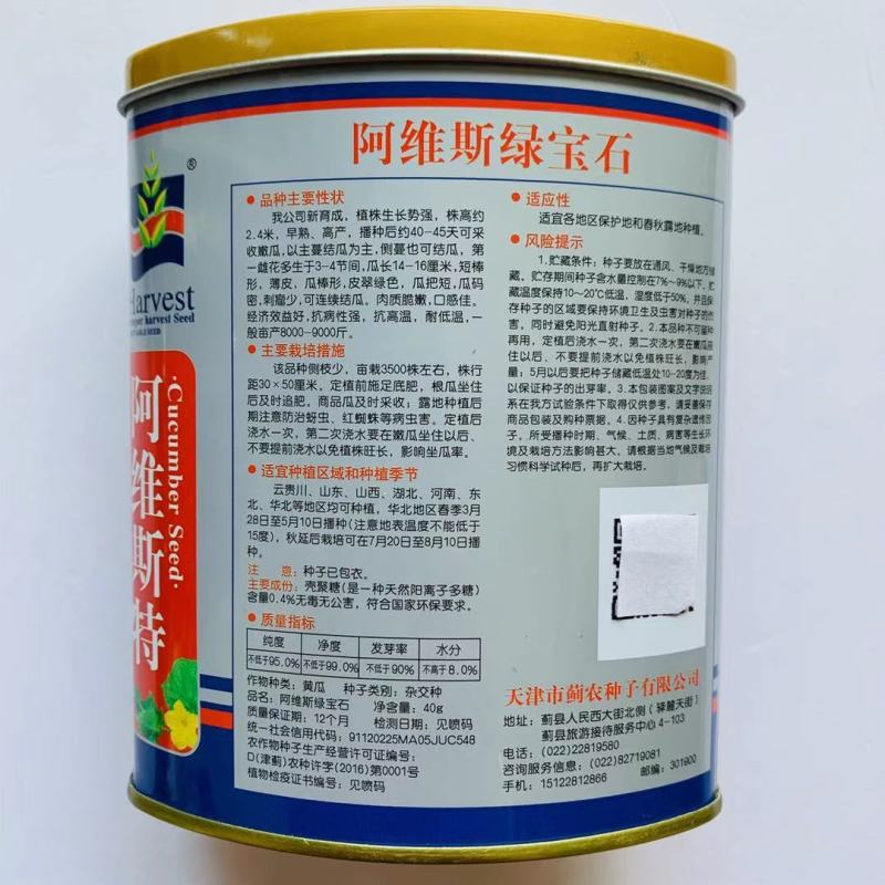 连续结瓜绿宝石水果黄瓜种子高产抗病耐热黄瓜早熟品种