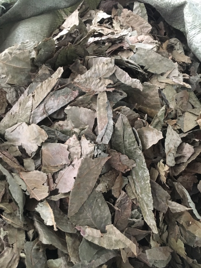 青钱柳茶青钱柳中药材批发量大包邮药材各种冷背药材