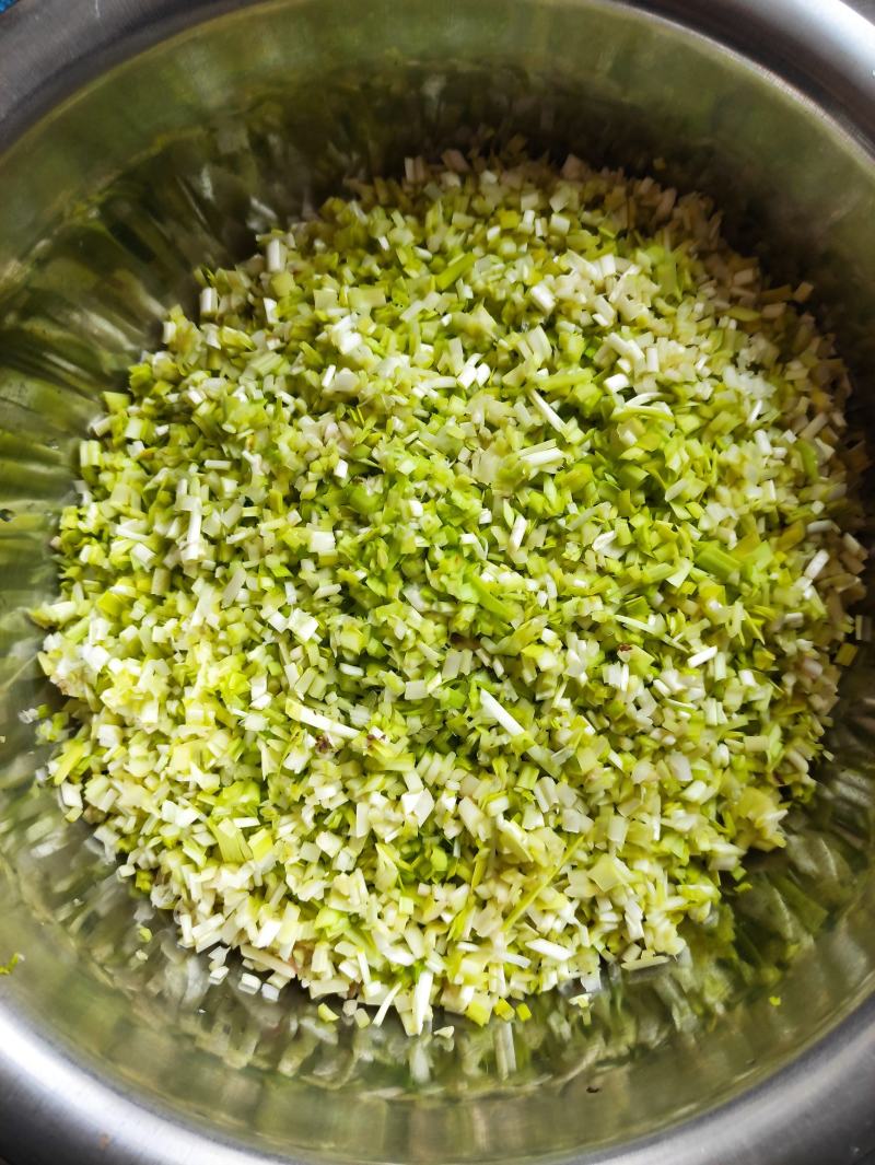 南宫特产黄韭盆景盆栽韭菜根苗礼品绿色蔬菜阳台客厅盆栽食品
