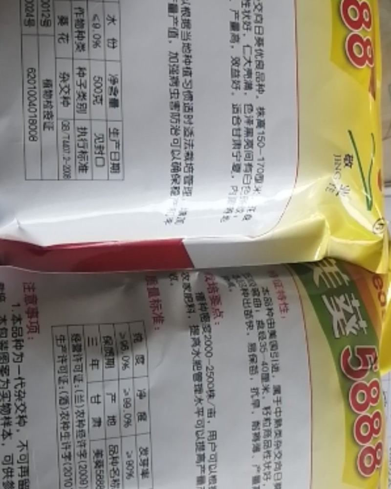 内蒙古巴彦淖尔市五原县向日葵，葵花盘，产地直销