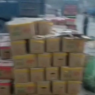 雄县红薯支持各种规格