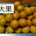 桂林阳朔金桔新鲜现摘现发支持快递一件代发