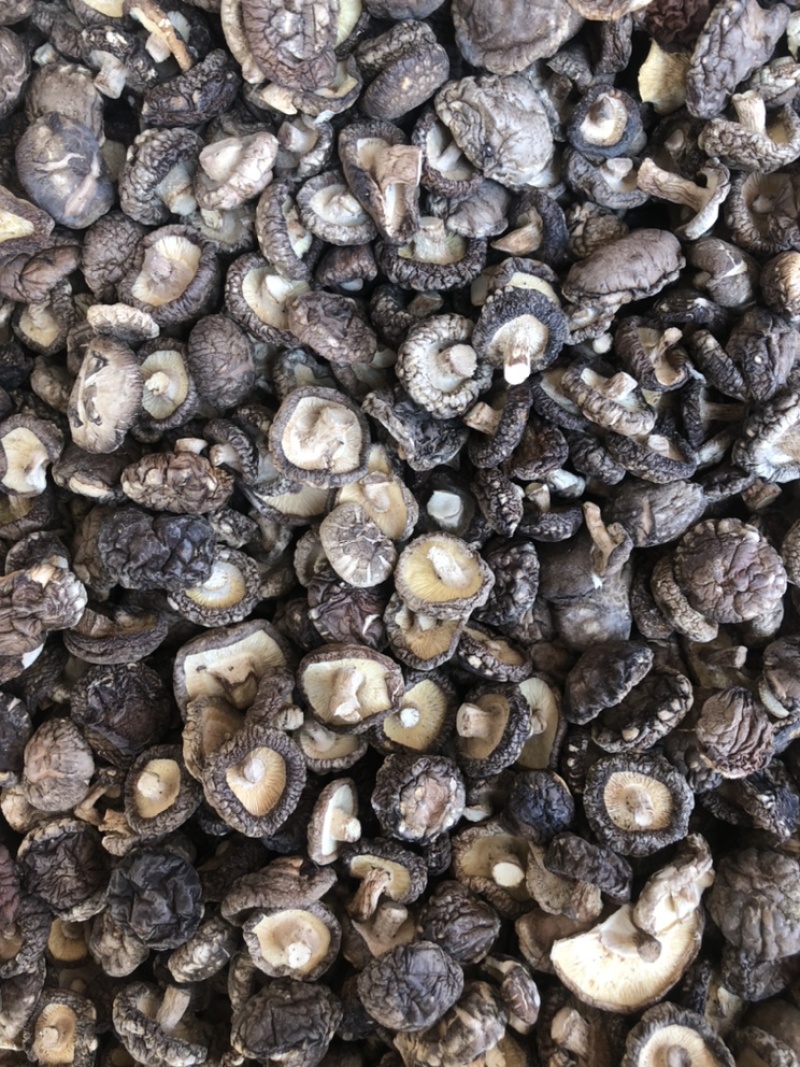 【有好货】小香菇干货冬菇蘑菇干香菇种植基地一手货源批发