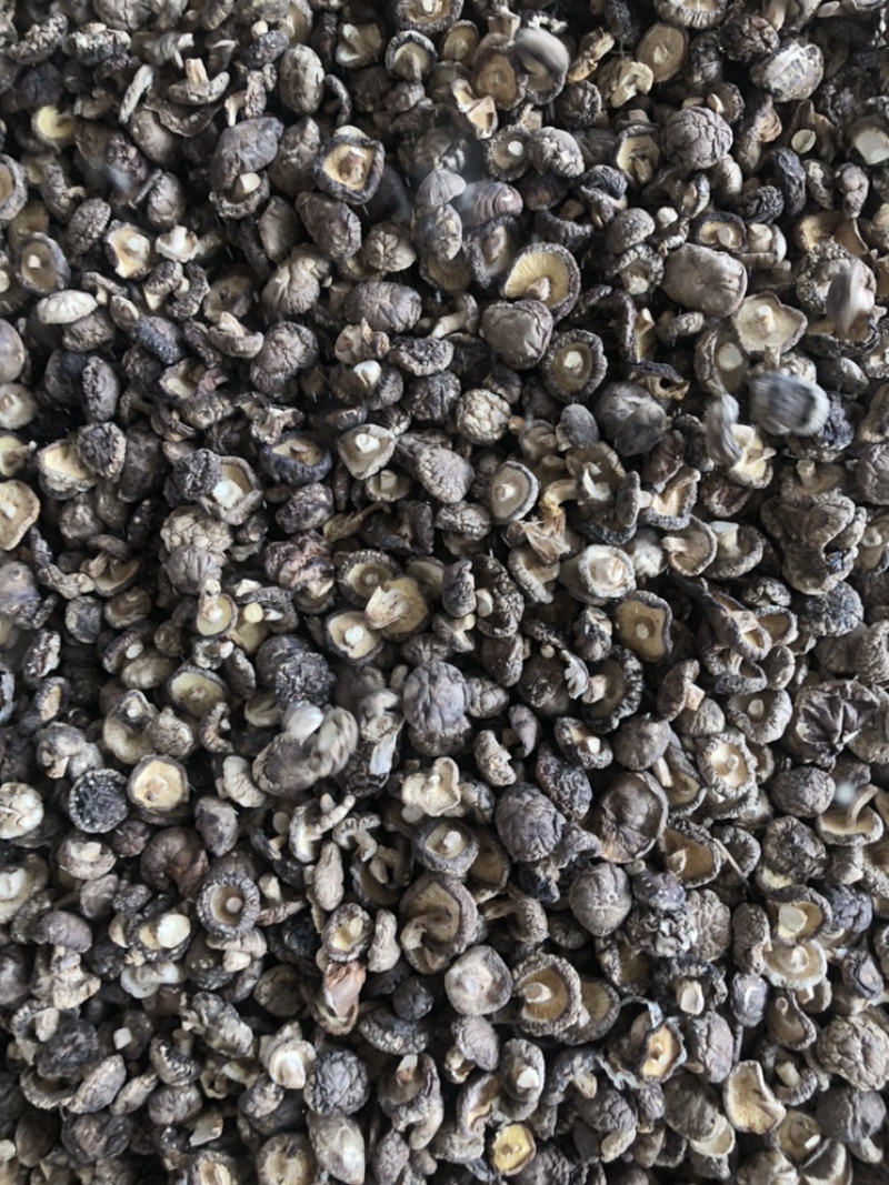 【有好货】小香菇干货冬菇蘑菇干香菇种植基地一手货源批发