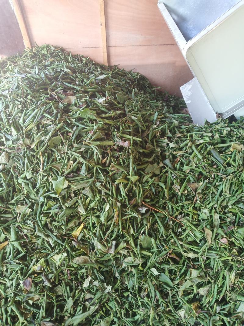 【厂家直销限时抢购中】金银花叶杀青哄干规格齐全品质无忧