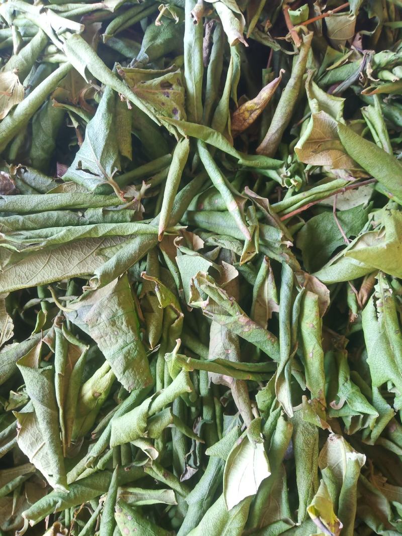 【厂家直销限时抢购中】金银花叶杀青哄干规格齐全品质无忧