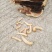 斗米虫（纯野生天然无公害）量大可以给更好的建议
