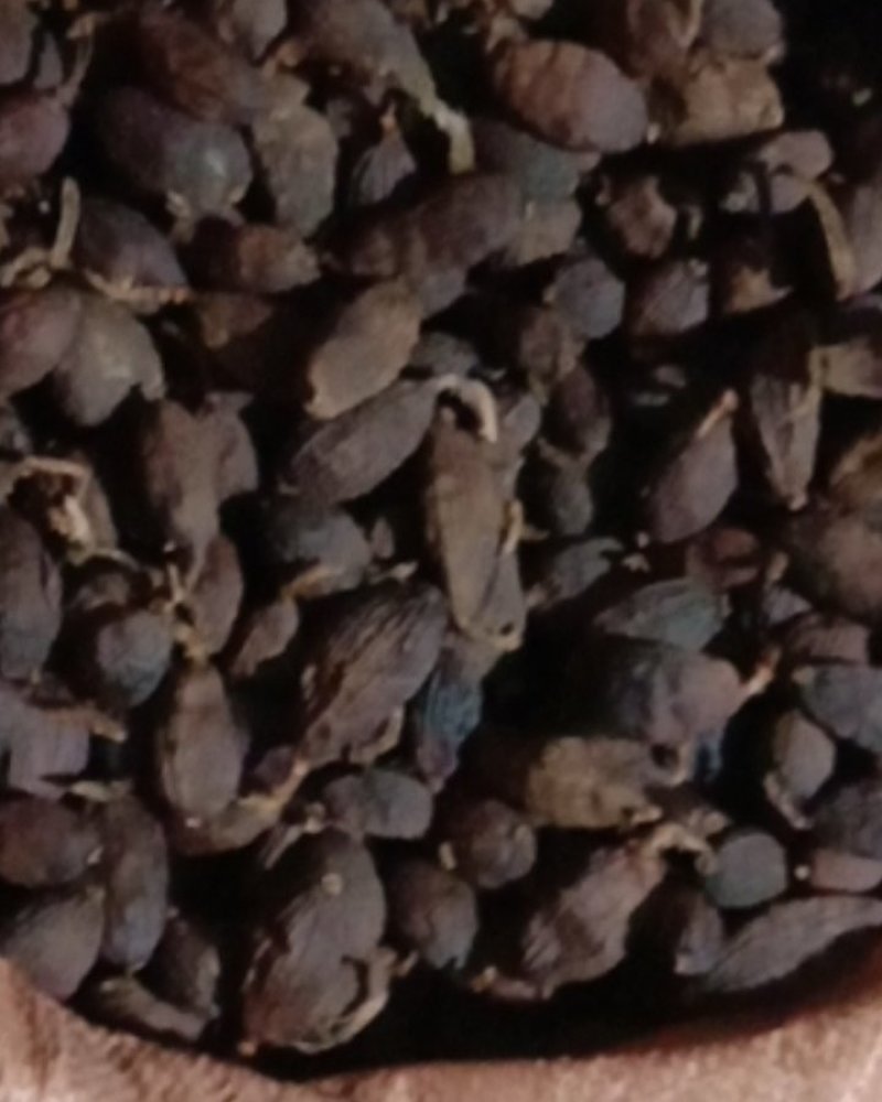 草果盈江干草果都是好货今年的货保证没陈货质量杠杠的