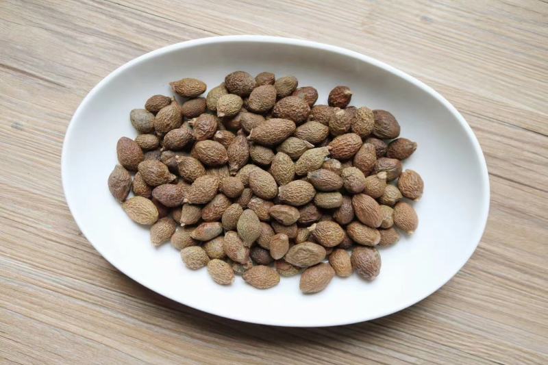 广州人胖大海大粒饱满精选货宜喉咙不适者食用支持一件代发