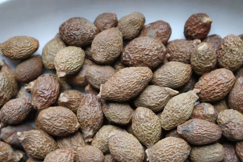 广州人胖大海大粒饱满精选货宜喉咙不适者食用支持一件代发