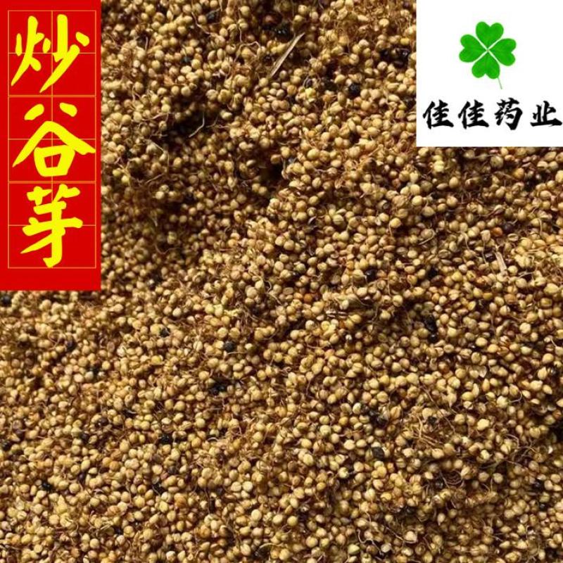 谷芽生谷芽芽多新货另有炒谷芽产地直销