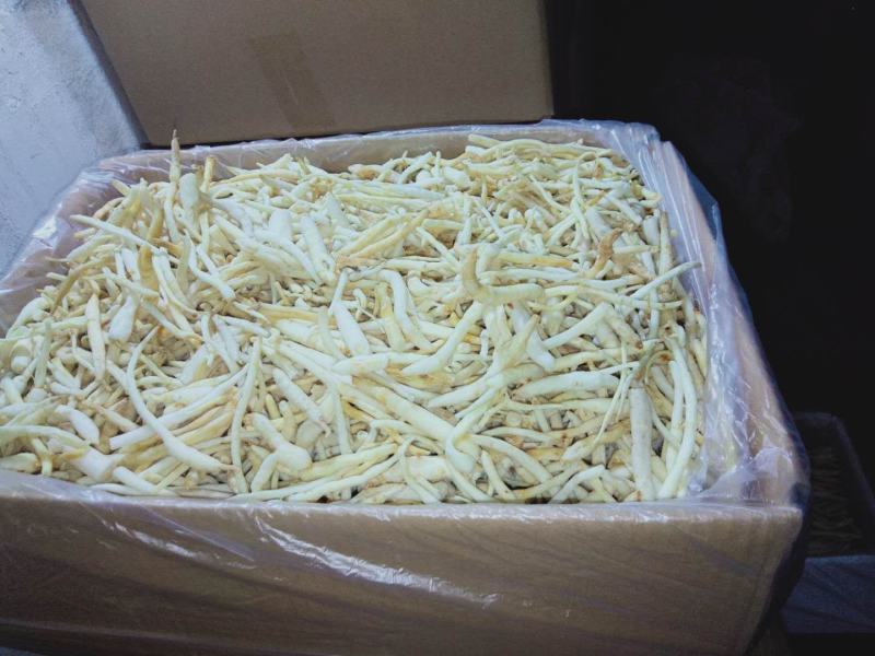 【精品】川明参地摊货，整年供货。沟通好下单，以免货发错