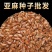 内蒙新亚麻种籽老品种胡麻种子可做亚麻子籽油籽粉蔬菜芽苗菜