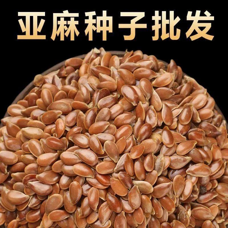 内蒙新亚麻种籽老品种胡麻种子可做亚麻子籽油籽粉蔬菜芽苗菜