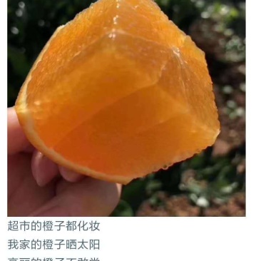 江西赣南脐橙一件代发包邮产地直供