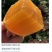 江西赣南脐橙一件代发包邮产地直供