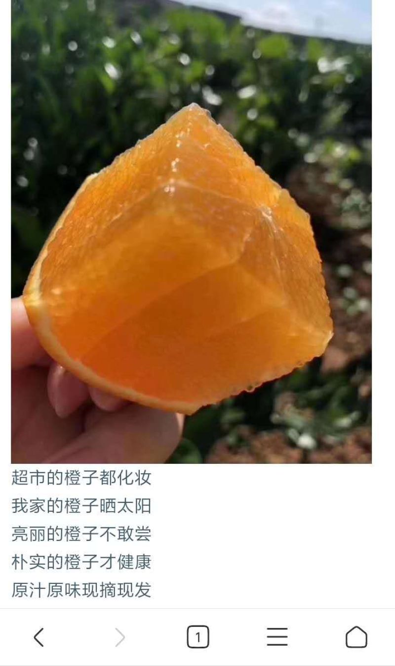 江西赣南脐橙一件代发包邮产地直供