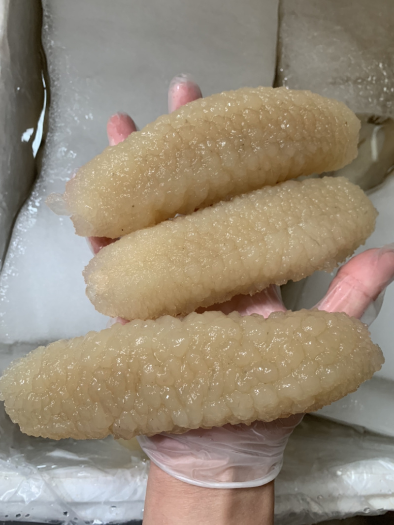 海参金沙秃参口感佳（上等海参，适合中高端消费群体）