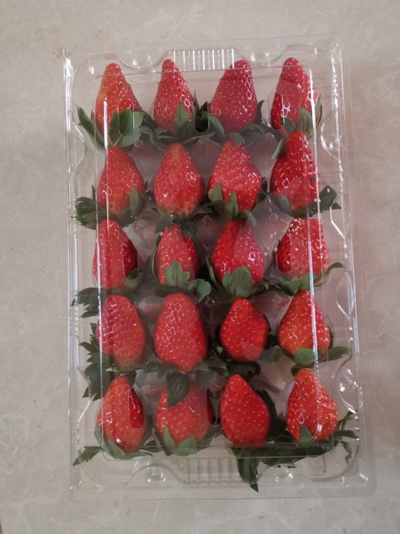 杭州大江东奶油草莓开售！