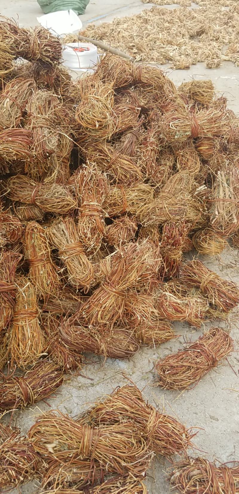 鸡骨草小扎鸡骨草，小扎鸡骨草足干