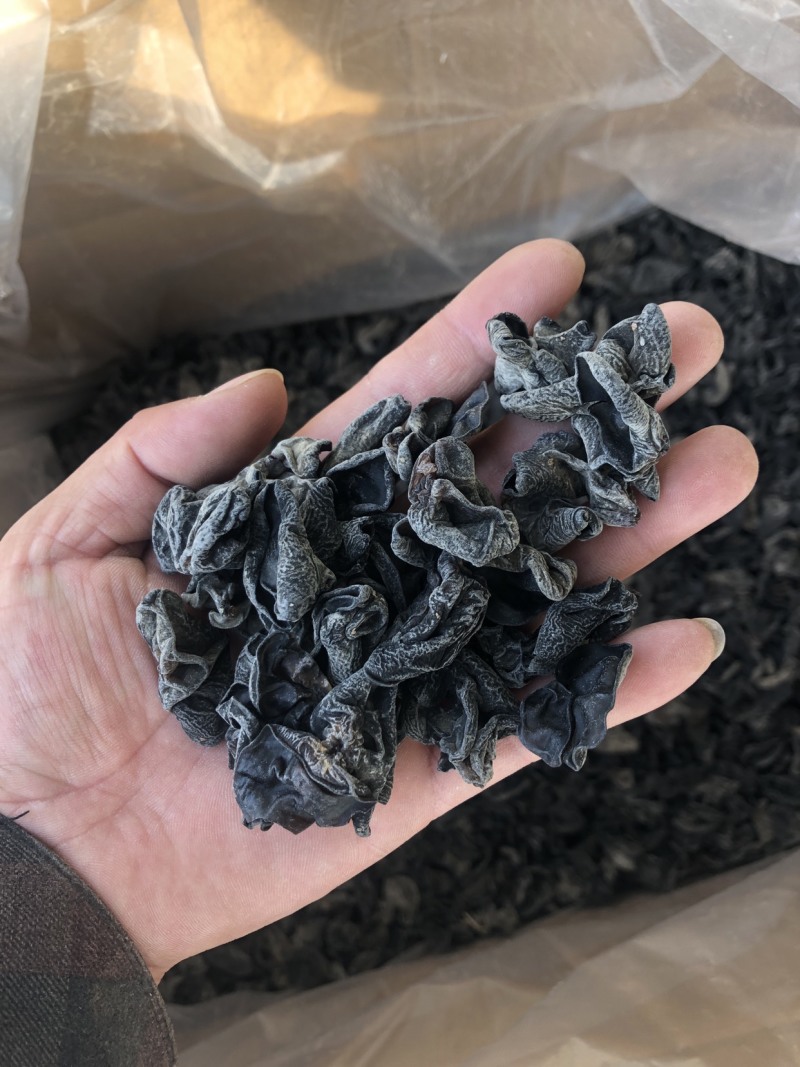 东北特产黑木耳肉厚无根干货秋木耳东北小碗耳