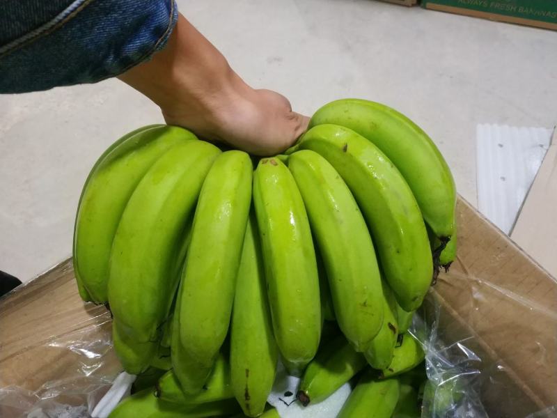 处理一批香蕉价格美丽800箱起