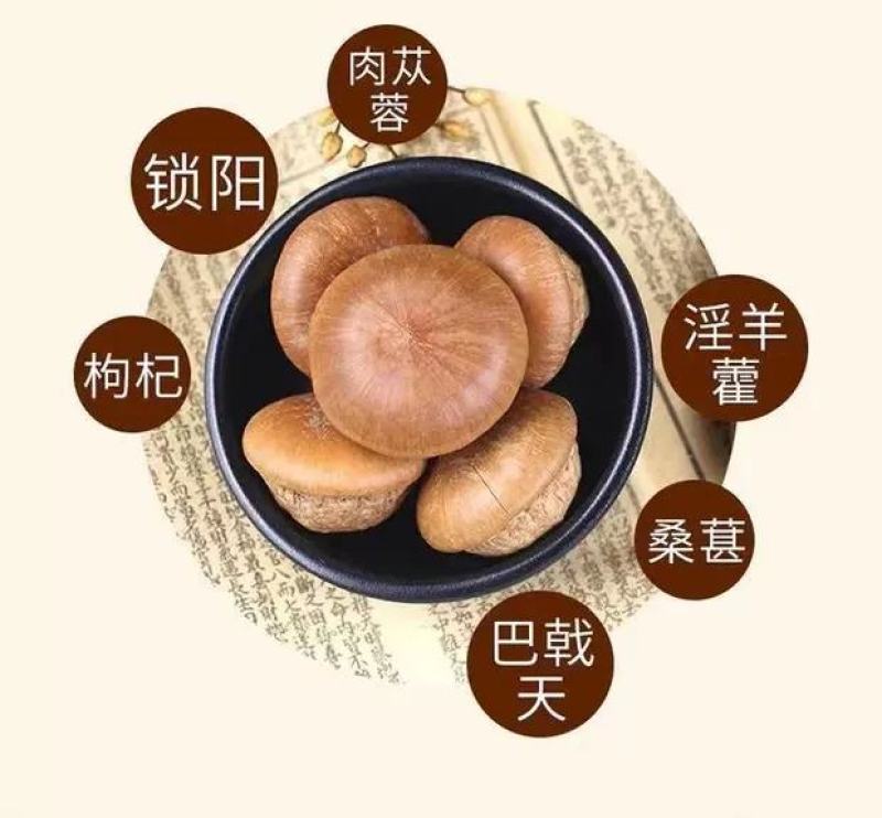 风流果大果天竺粒广西特级果厚鳞柯泡酒益肾子