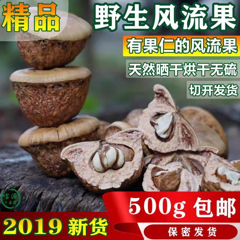 风流果大果天竺粒广西特级果厚鳞柯泡酒益肾子
