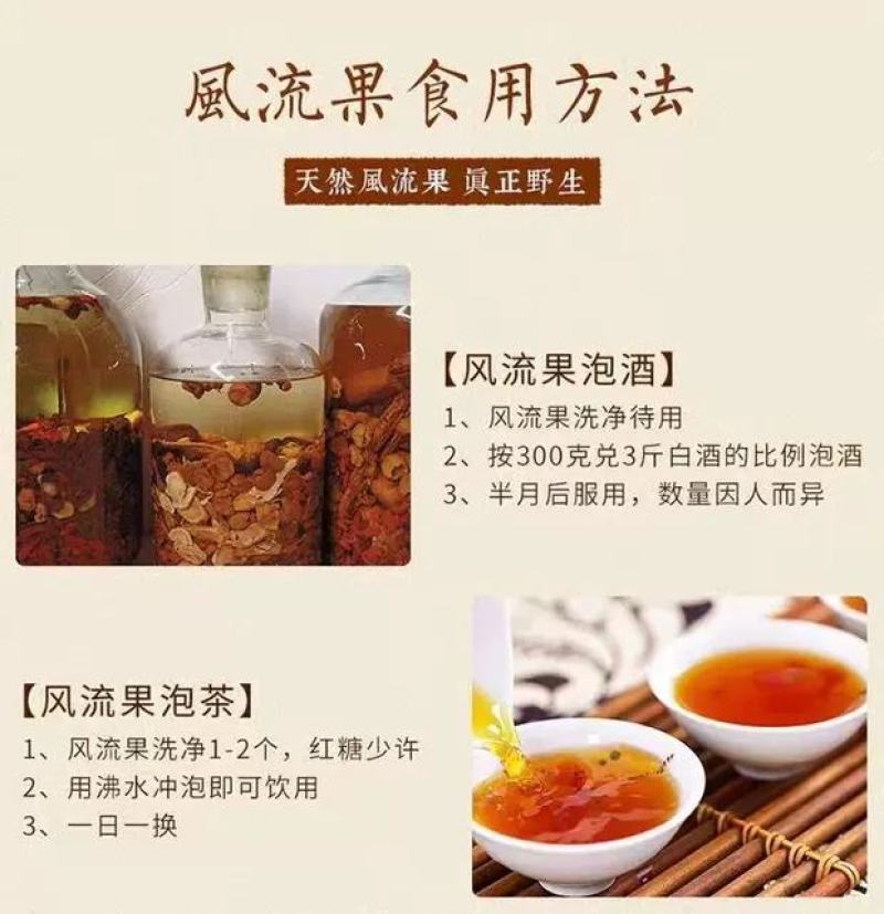 风流果大果天竺粒广西特级果厚鳞柯泡酒益肾子