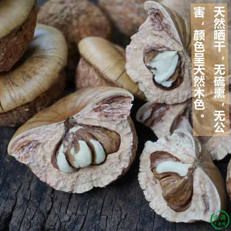 风流果大果天竺粒广西特级果厚鳞柯泡酒益肾子