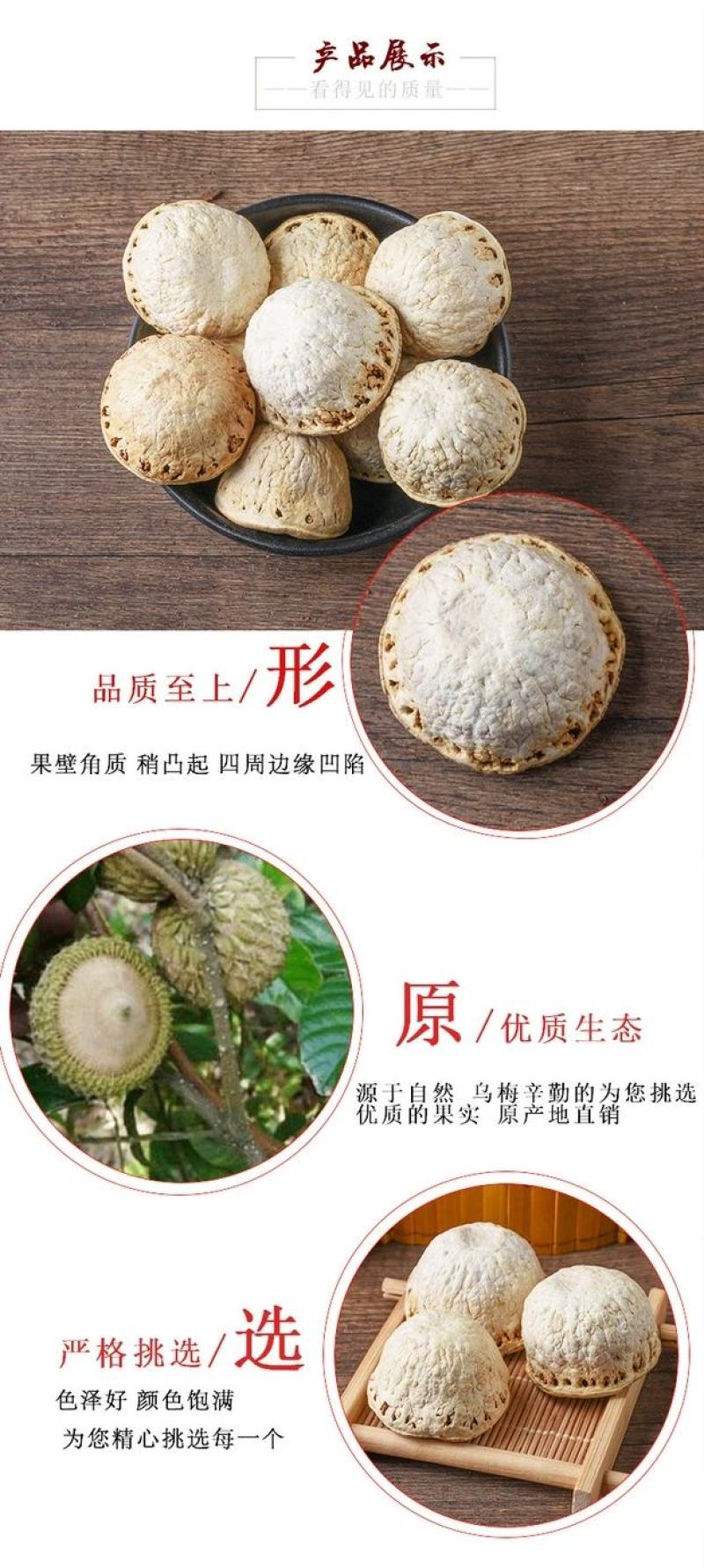 风流果大果天竺粒广西特级果厚鳞柯泡酒益肾子